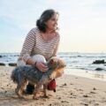 vivre en appartement avec un yorkshire les astuces pour une vie heureuse