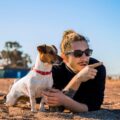 les aventures du jack russell histoires et anecdotes passionnantes