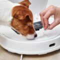 quel aspirateur robot irobot choisir quand on a un petit chien