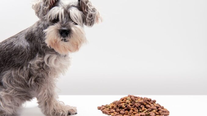 Frolic croquettes pour chien, gamme, prix et avis frolic croquettes pour chien, gamme, prix et avis