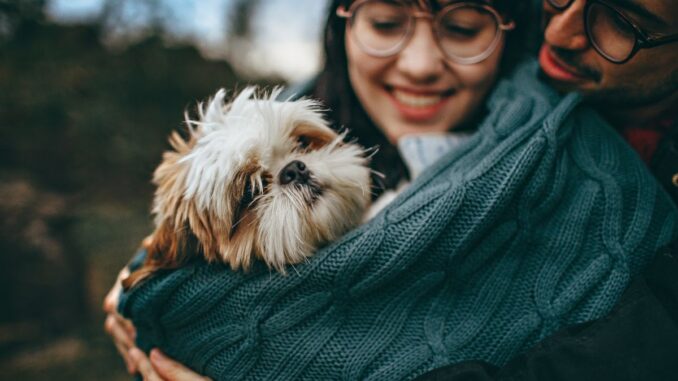 les shih tzus sont ils bons pour les personnes anxieuses
