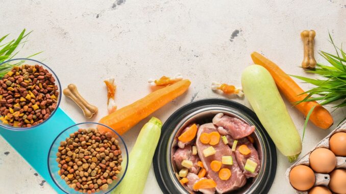 quels sont les aliments interdits pour le shih tzu