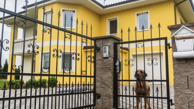 Quelle est la meilleure race de chien de garde ?