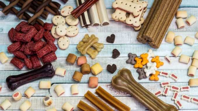 Tous les différents types de croquette pour chien et chiot