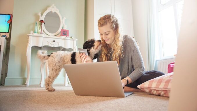 assurance chien Assurance : votre Chien fait Partie de la Famille, Assurez-le