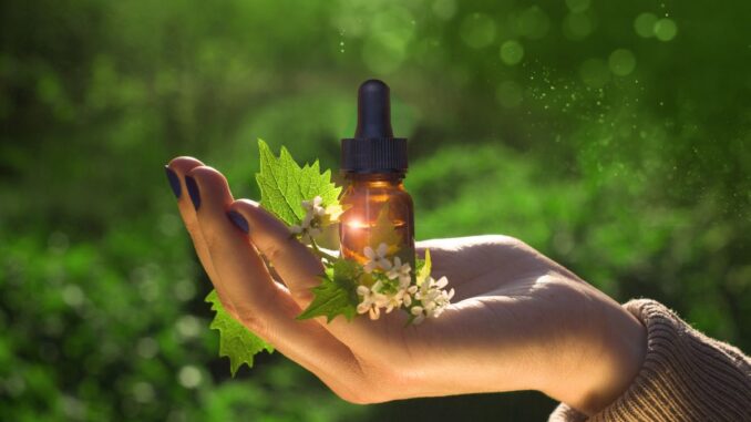 Fleur de Bach pour chien : stress, anxiété, effets secondaires, hyperactif... tout savoir !