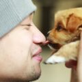 comment calmer l'anxiété d'un chien ?