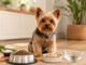 Besoins nutritionnels du Yorkshire