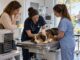 urgence veterinaire toulouse